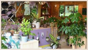 MIMONO お店トップ