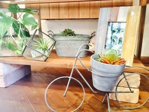 ガーデニング雑貨by三郷店