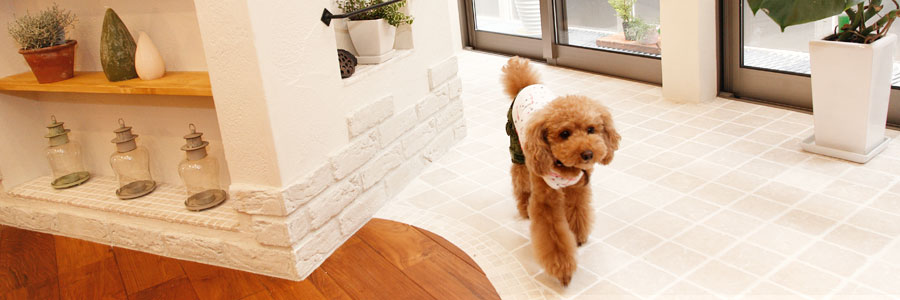 もっと家にいたくにゃる！わんちゃん・ねこちゃんにもお家づくり