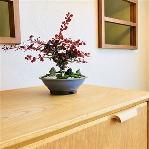 5AA804C0-753A-40AC-A2B0-10436B24BD23_R