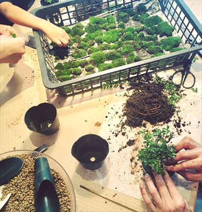 43B454FA-035B-474A-8E93-F7E713E3DED3_R