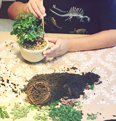 AEC0E70B-8127-4CF1-BF62-7F1FFD45927B_R