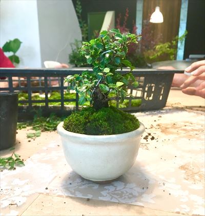 C5A94CFE-3B8E-4507-A50B-B83900047E96_R