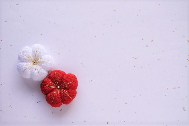 本日より通常営業しております！