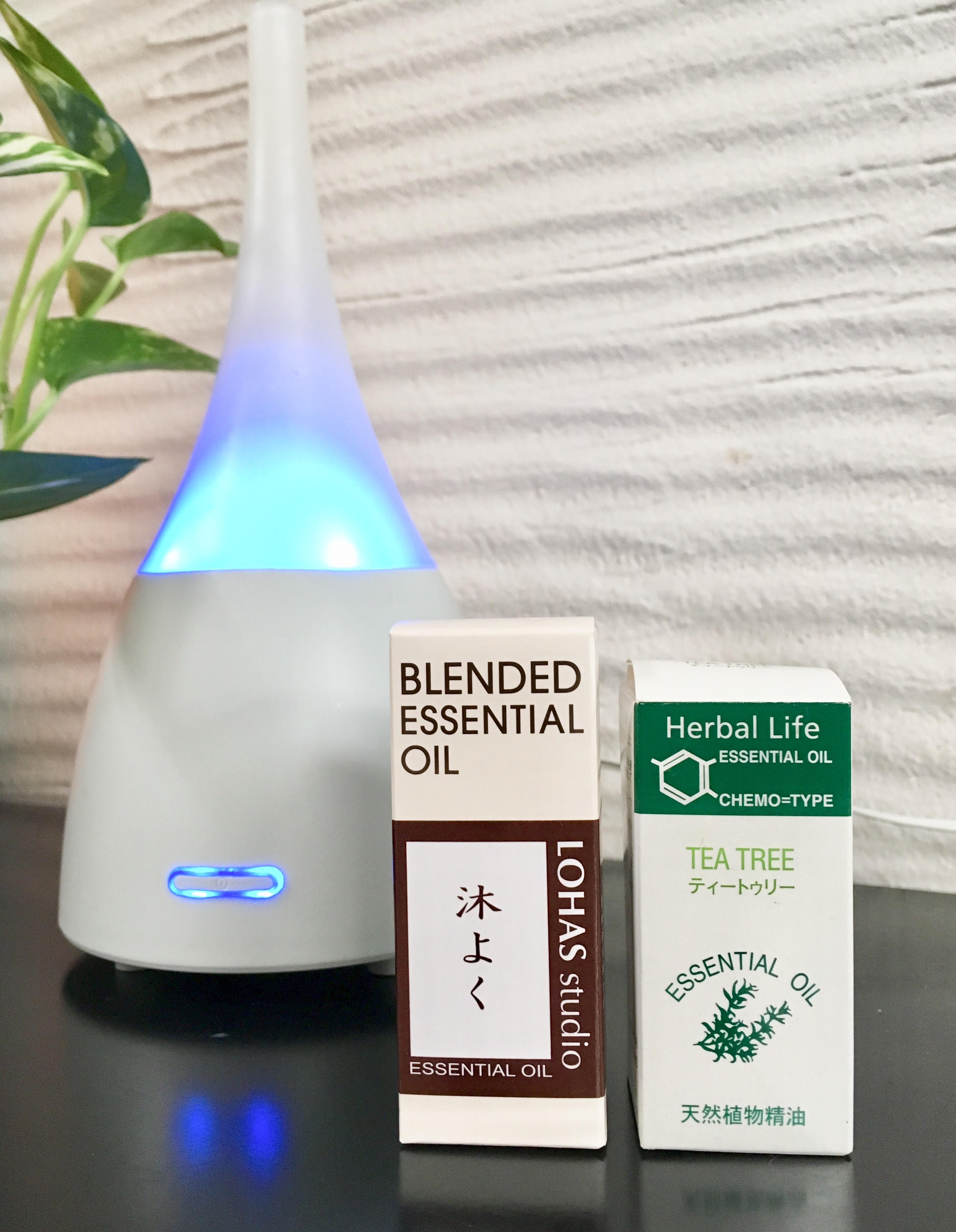 風邪・インフルエンザ対策に！冬アロマで住空間をコーディネート