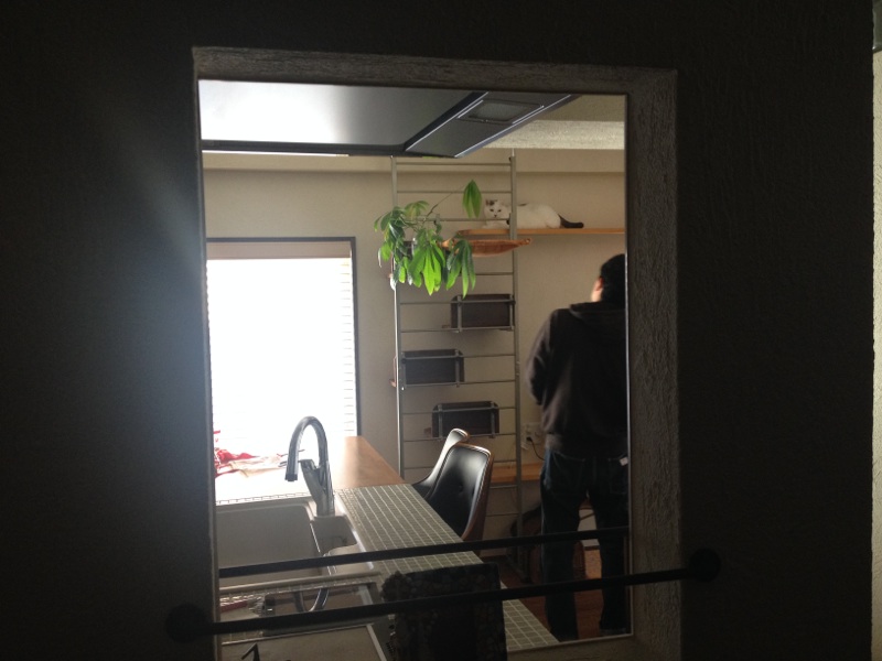 雑誌取材＠ジェルコ全国最優秀賞のお家～ネコちゃんも快適に♪～