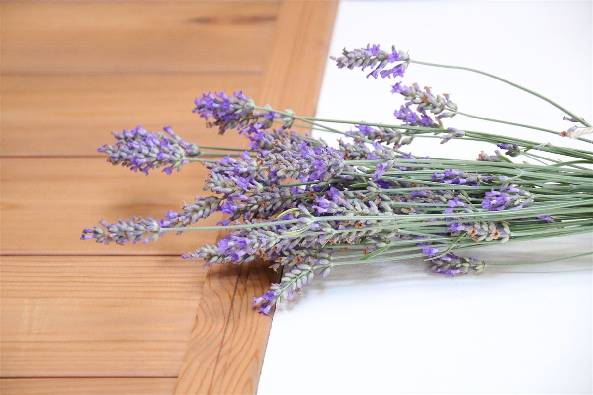 ＊初夏のお花「ラベンダー」のドライフラワーを作りました＊