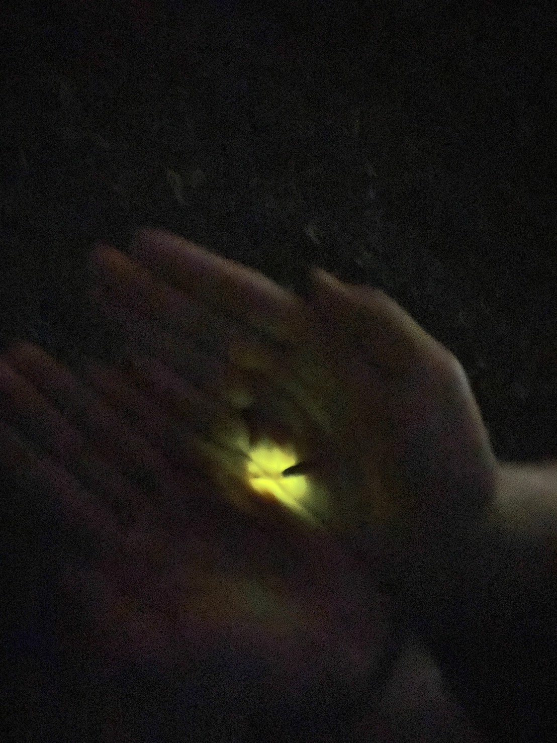 小川町下里だより　2022年6月号