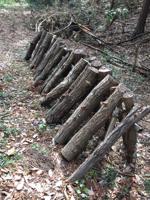 小川町下里だより　2022年12月号