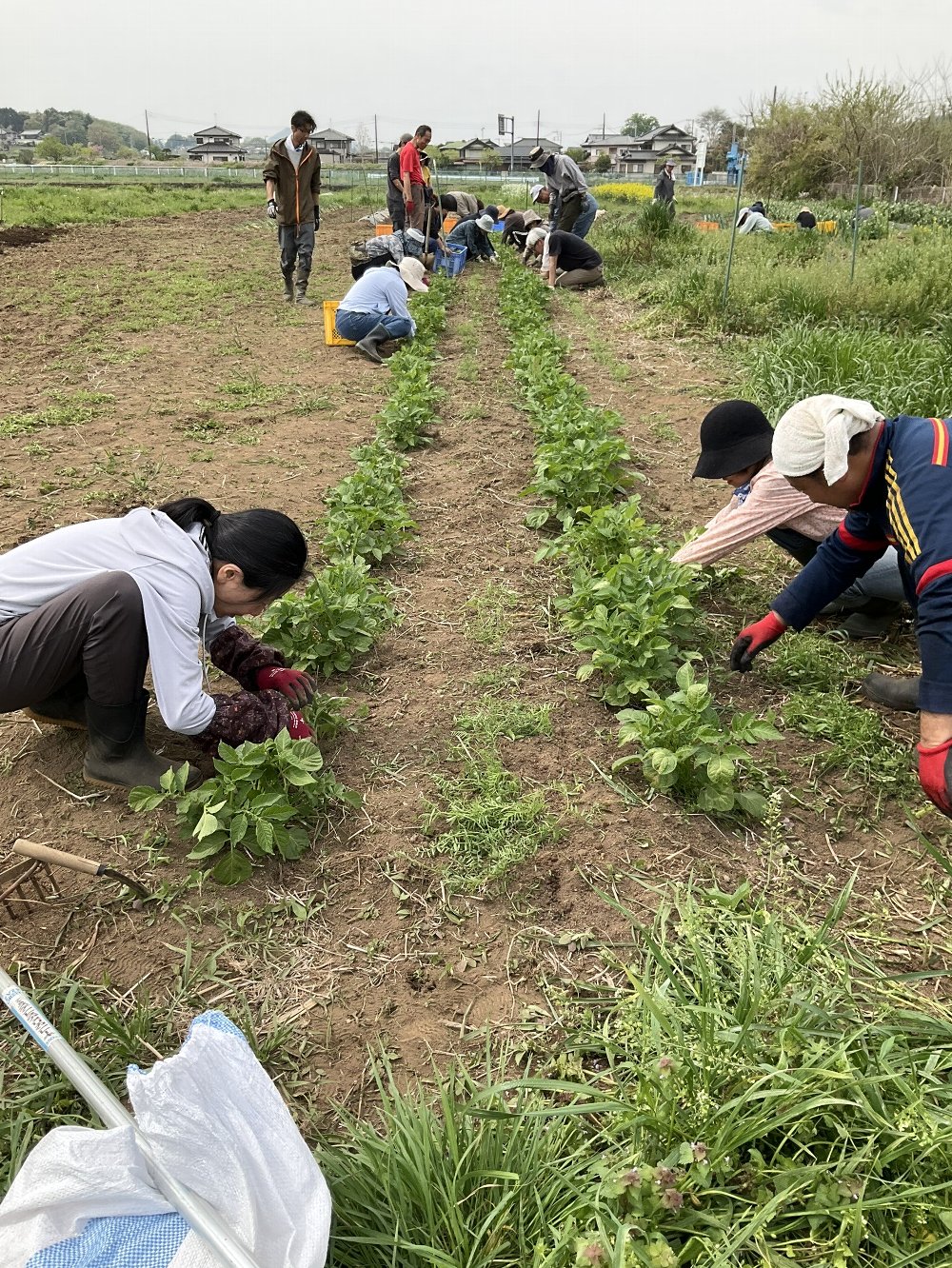 小川町下里だより　2025年5月号
