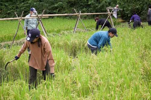 小川町下里だより　2025年9月号