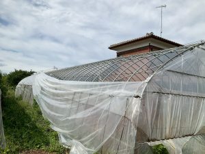 LINE_ALBUM_20250921_250928_1