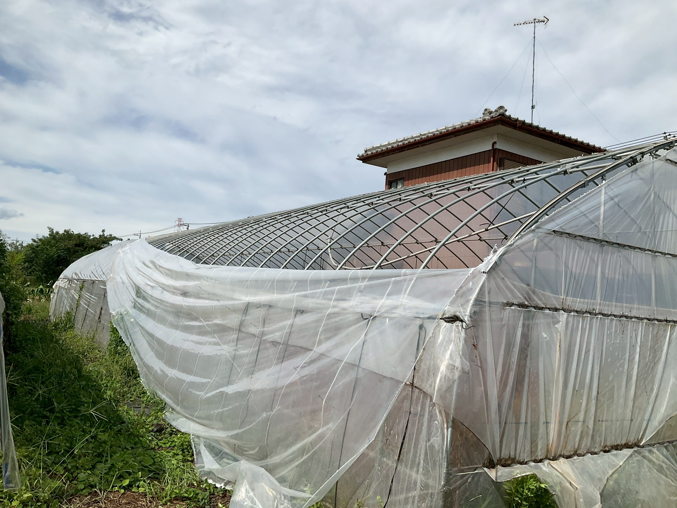 小川町下里だより　2025年10月号