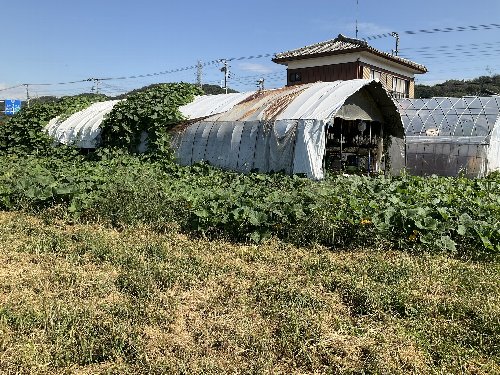 小川町下里だより　2025年10月号