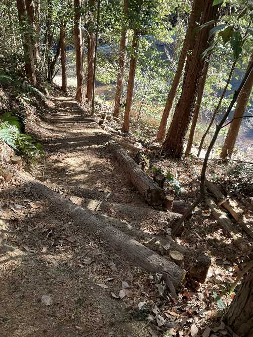 大沼ゴルフ場脇の山道