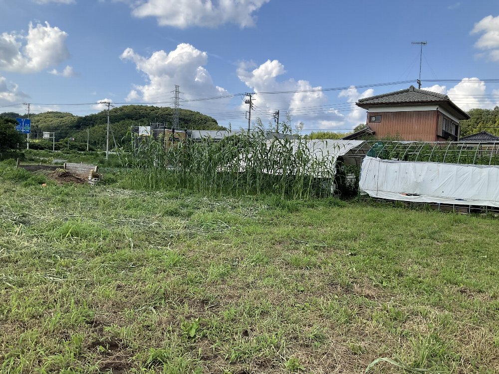 タカキビ畑作業後