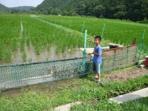 東こうじ君と合鴨