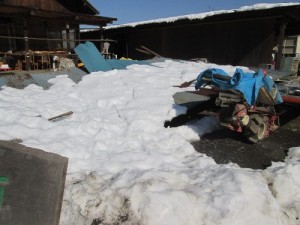 雪で潰れた霜里農場の納屋