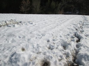 雪国と化した下里20140218