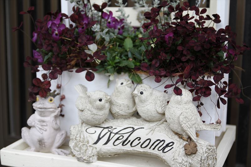 【掲載予告】 自然素材と“過ごしやすさ”にこだわったお家を取材してきました！