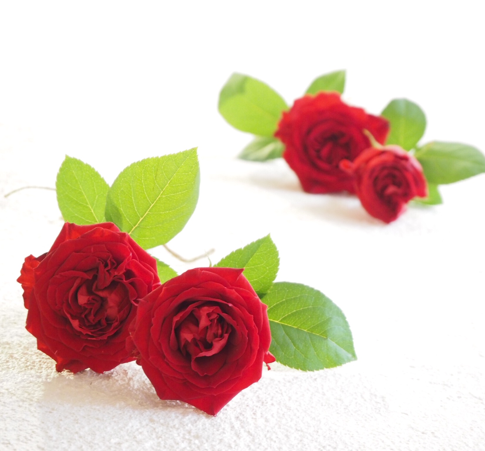 女性らしさを引き出す癒しのアロマ