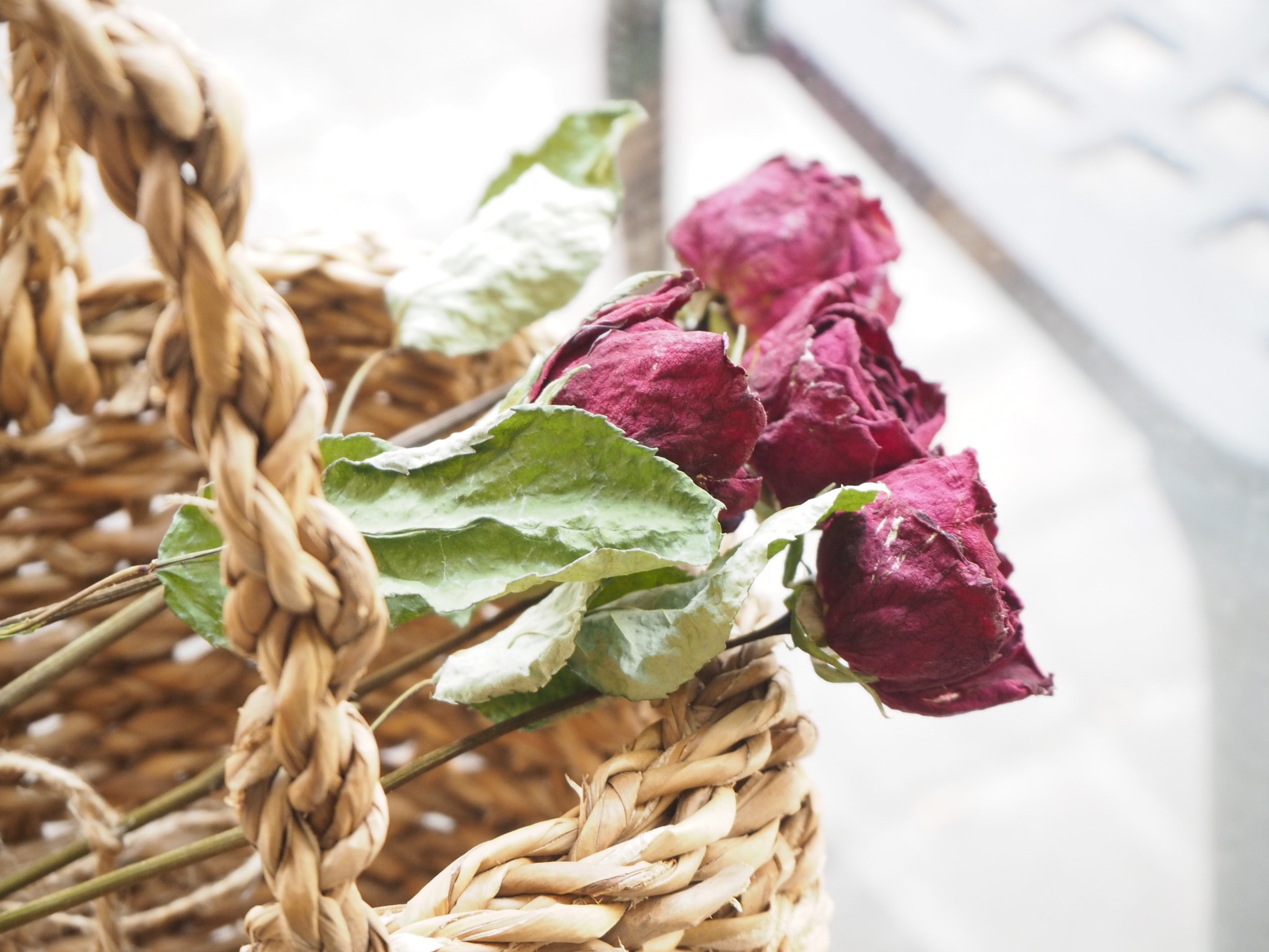 ❀ドライフラワー　を　綺麗に作る　”コツ”　とは？❀