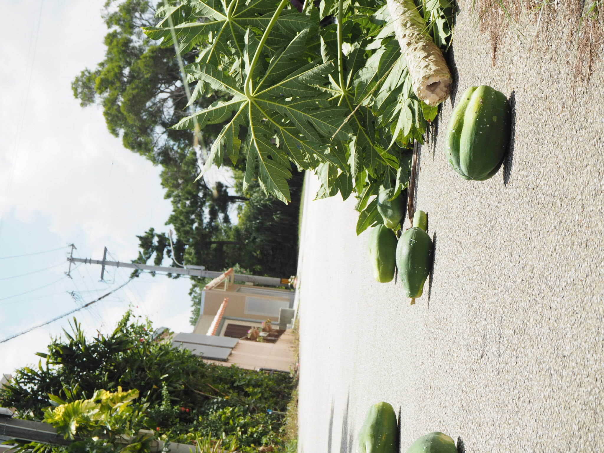 沖縄旅日記①　沖縄の伝統工芸が連なるやちむんの里　