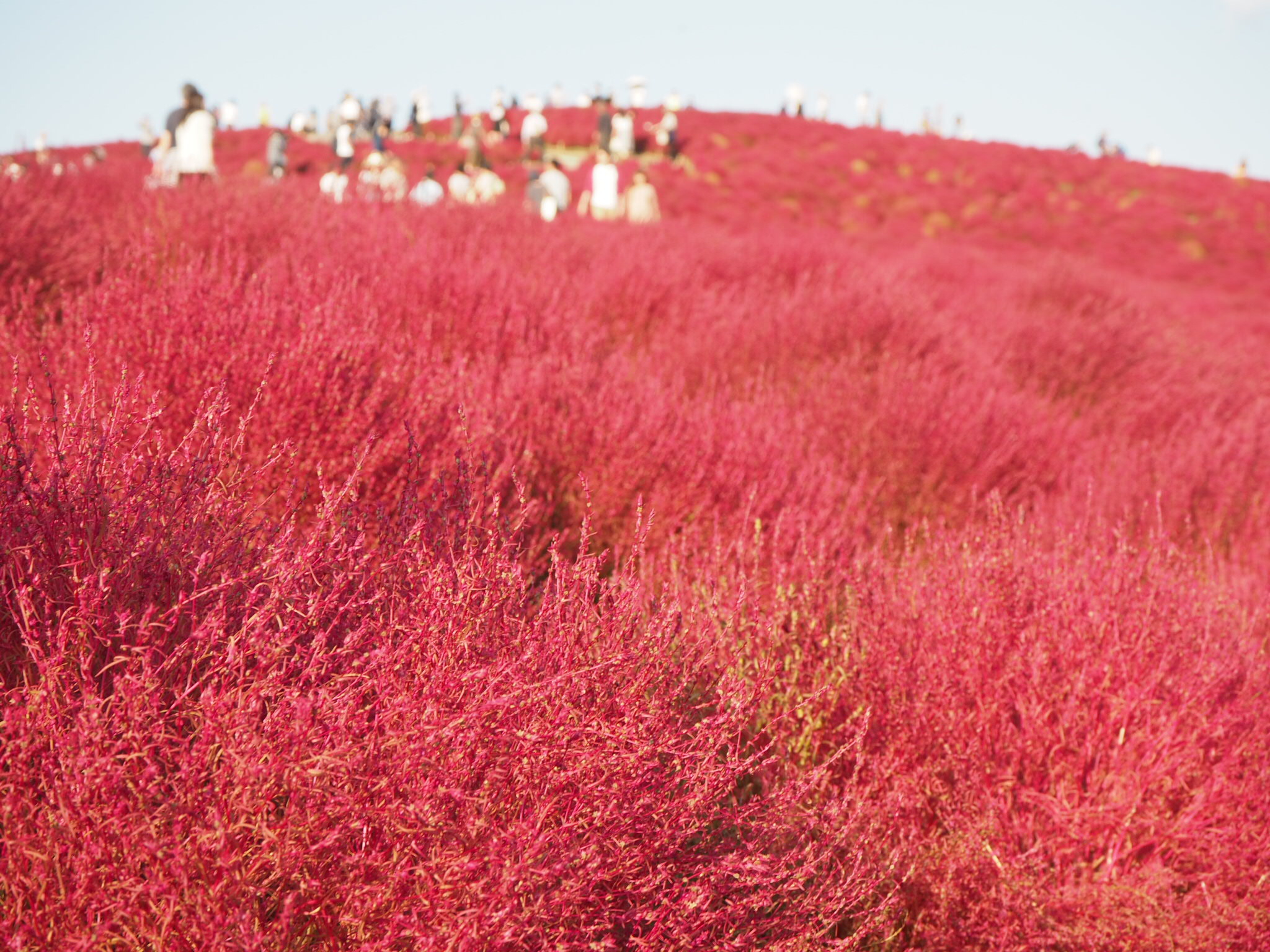 海と空と緑が一日で楽しめる、おすすめスポット