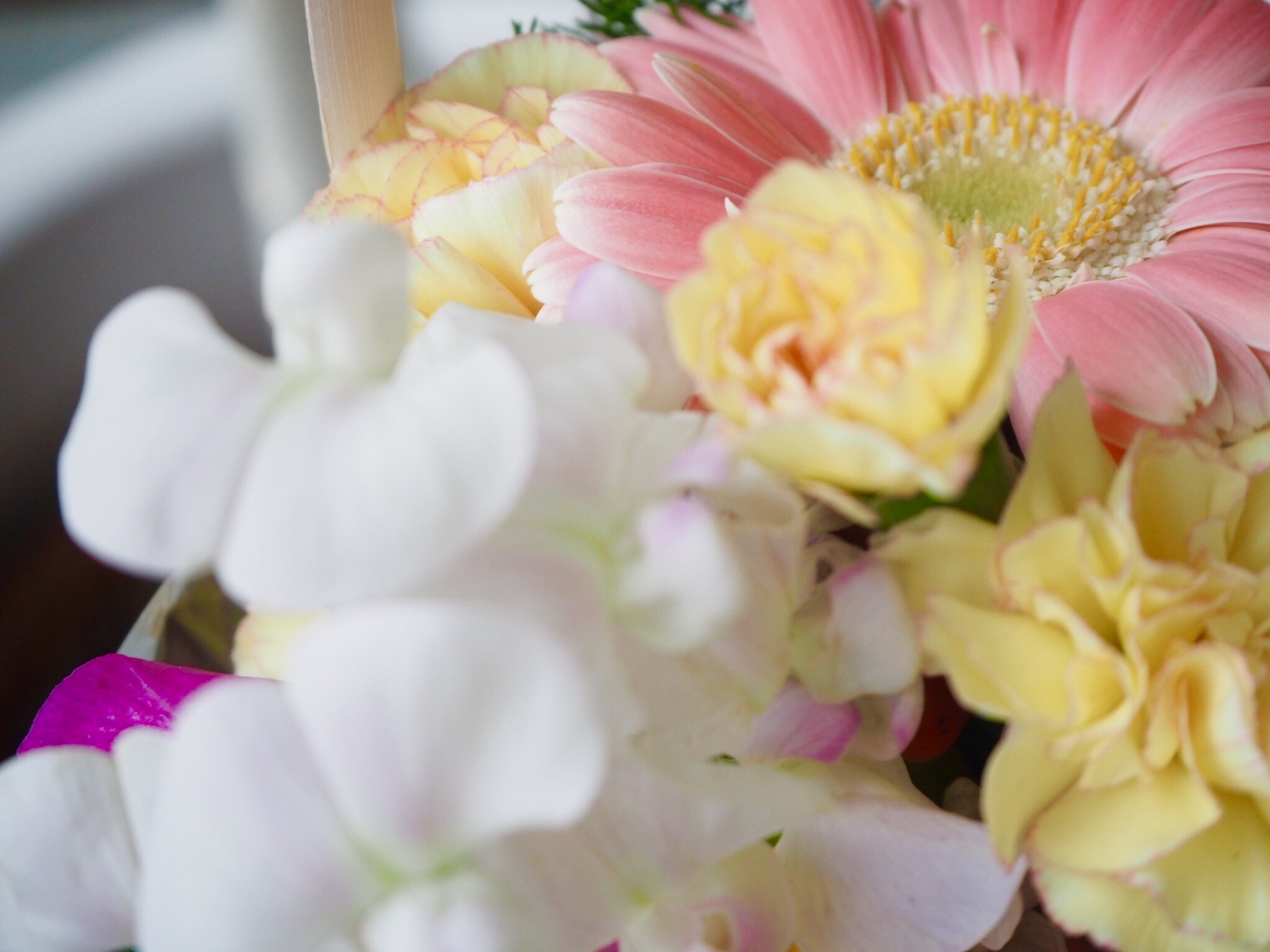 スタジオの彩り♪お花のバスケット