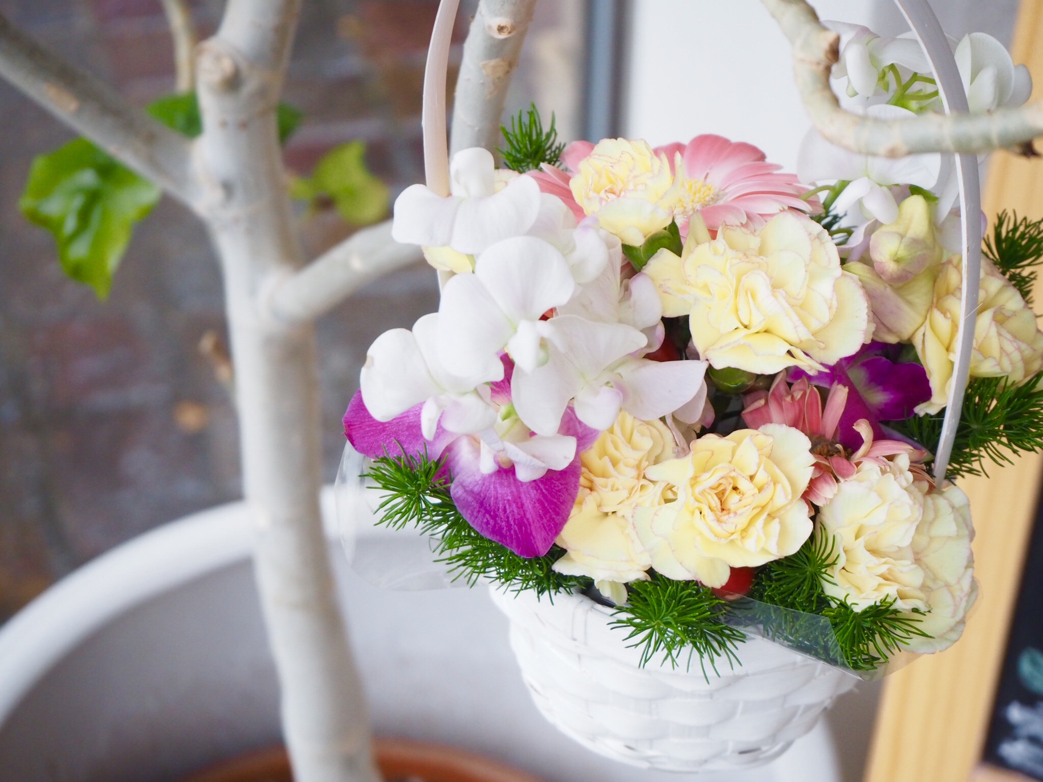 スタジオの彩り♪お花のバスケット