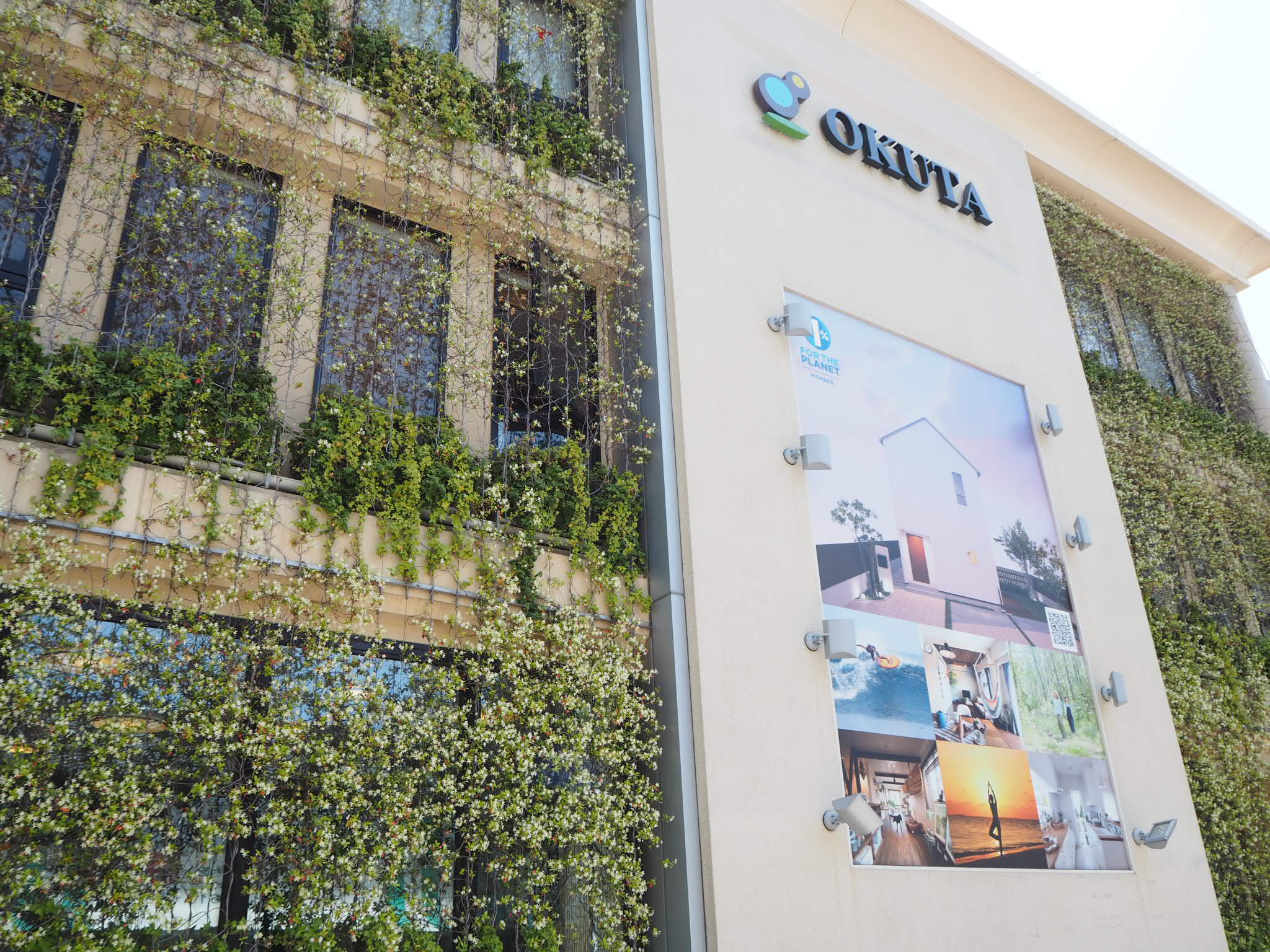 壁面緑化にお花が…♡