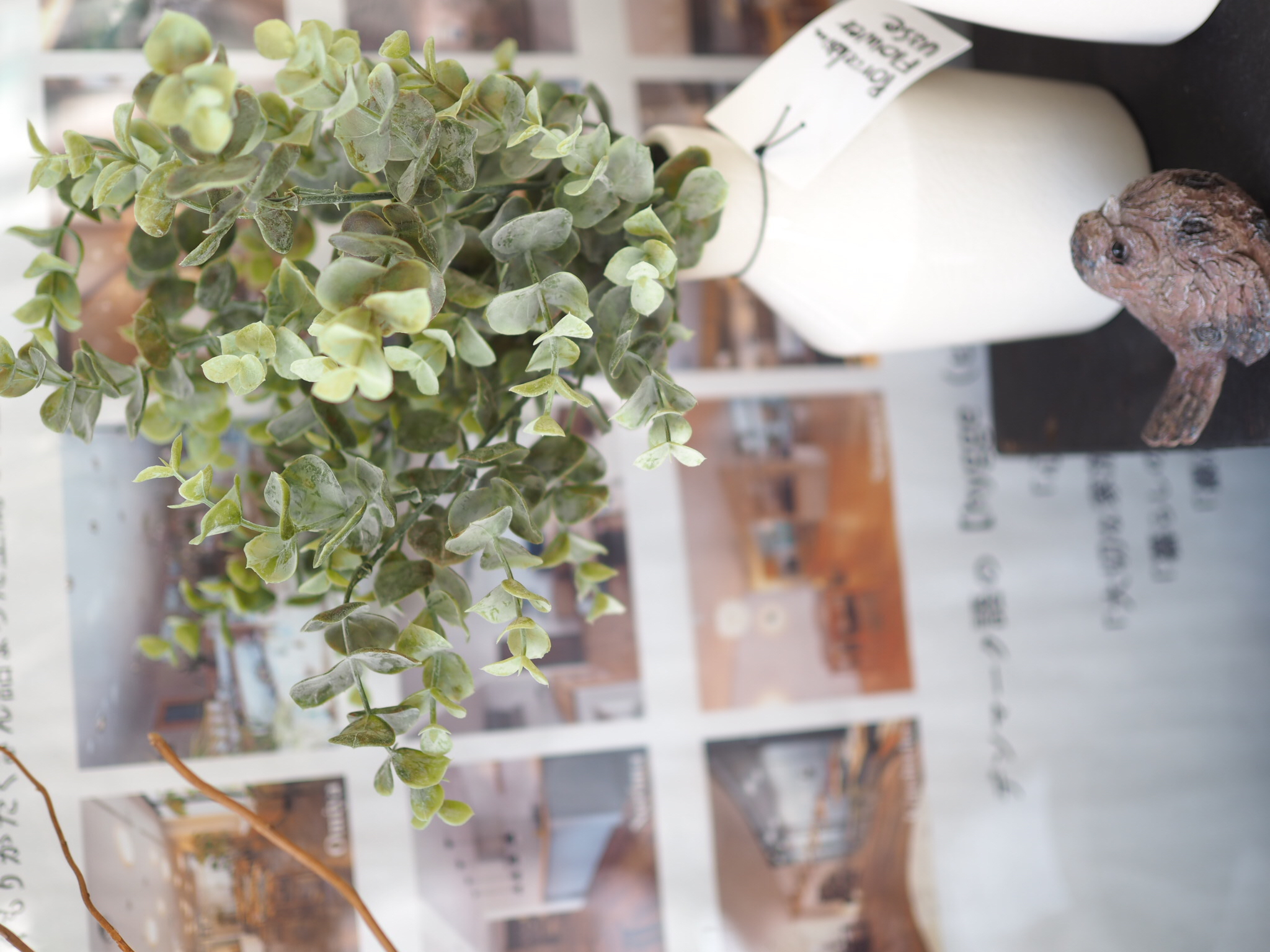 　【雑貨紹介】植物を育てるのが苦手！な方におすすめ