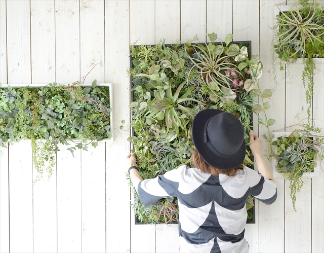 【work shop】-7.23(火)開催- グリーンを飾ることを諦めない！インテリアグリーンパネル　