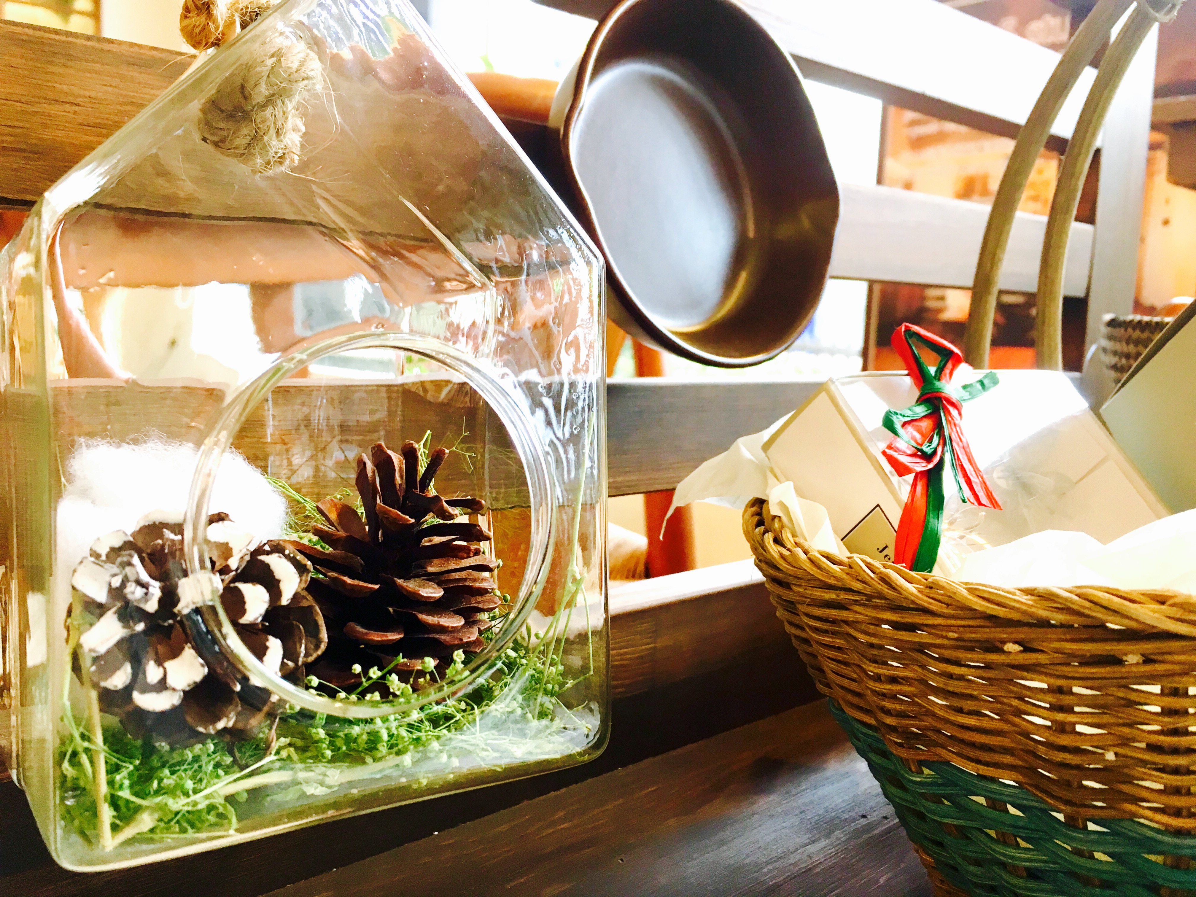 おしゃれで手軽と話題のインテリアグリーン★きらめくクリスマステラリウムを手作りしよう！