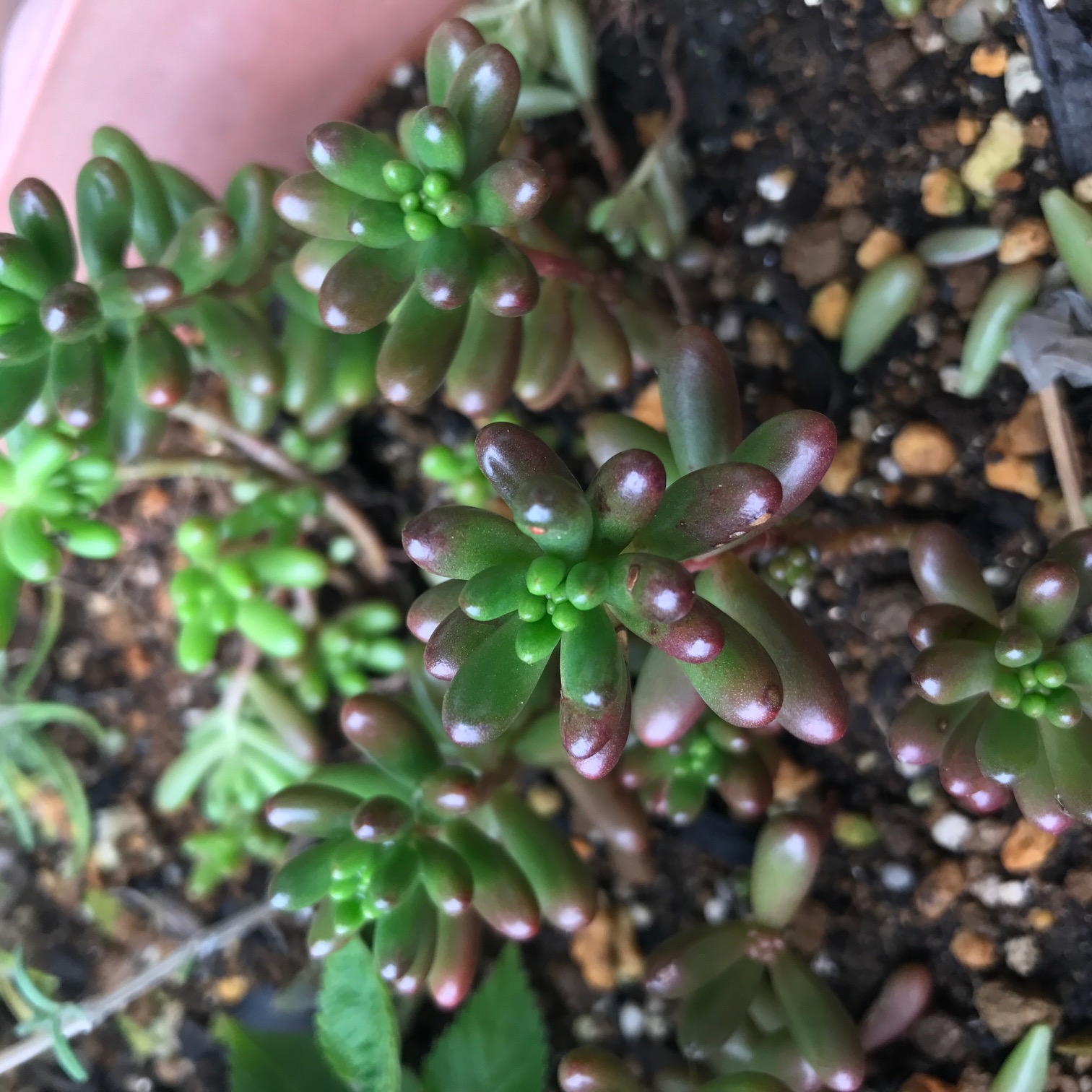 台風被害は大丈夫でしょうか？