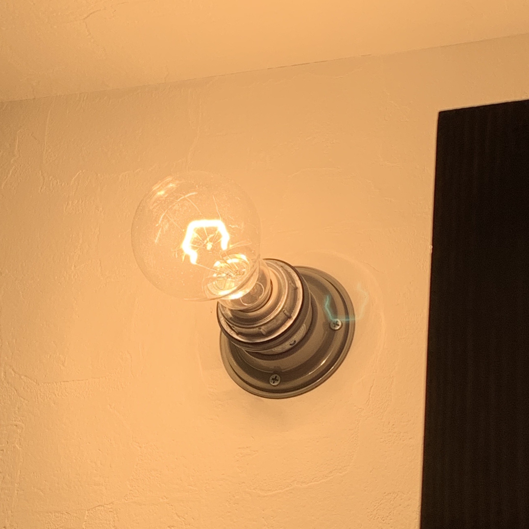 リフォーム現場見学