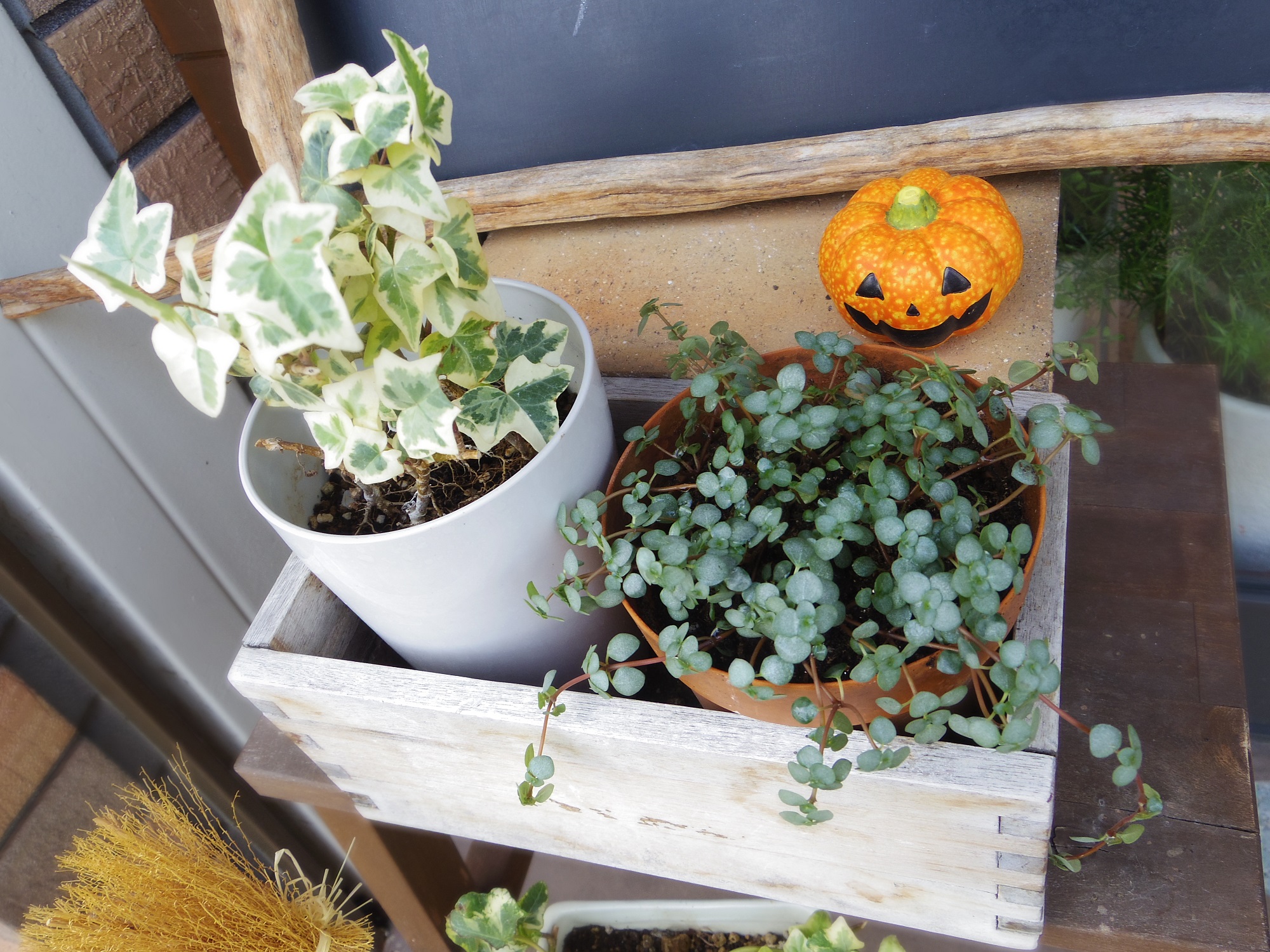 スタジオに「COFFEE　LOVERの暮らす部屋」が届きました♪