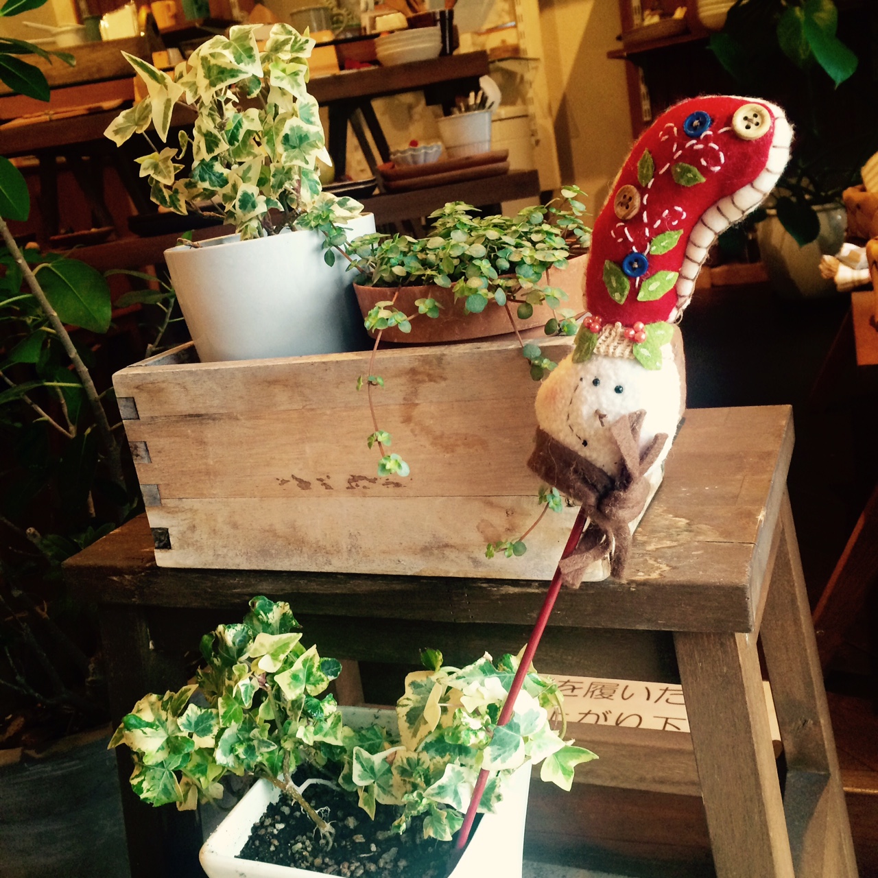 スタジオもクリスマス仕様に・・・*