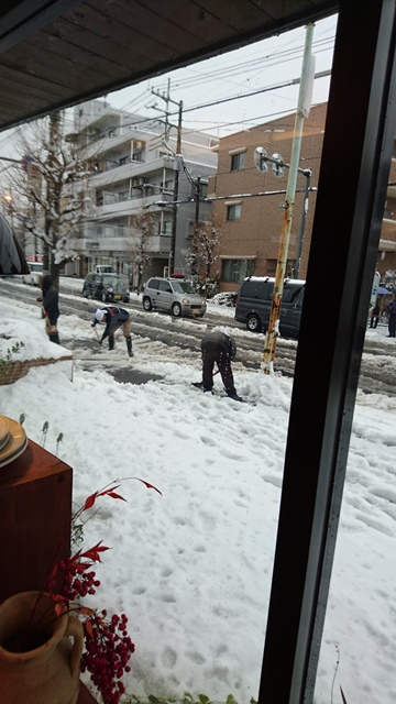 1/18（月）LOHASstudio所沢店、通常通り営業しております。