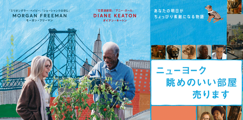 1/23（土）朝6：30頃『ズームイン!!サタデー』に出演します！