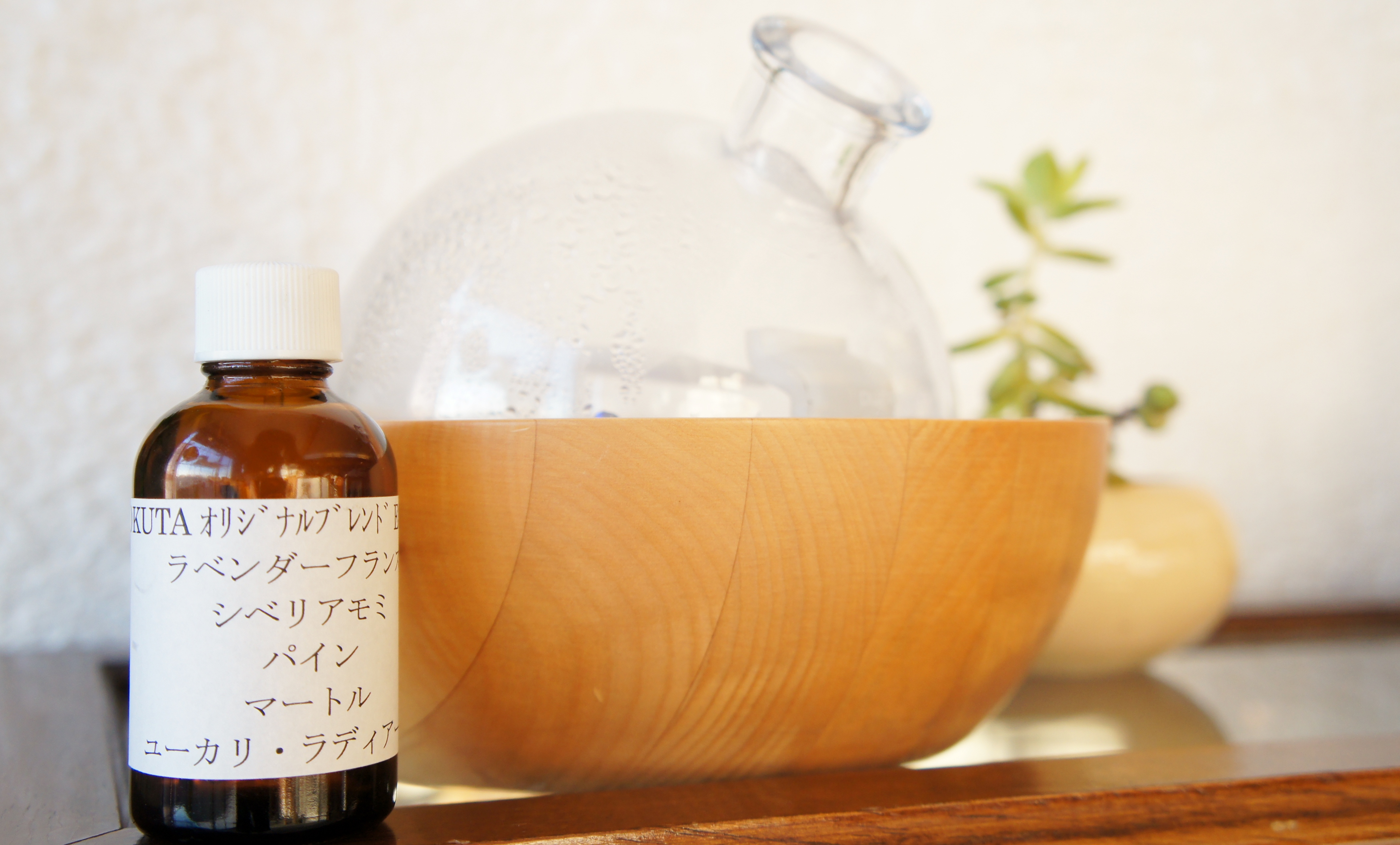 自然の薬箱　1/26ワークショップ開催しました✿