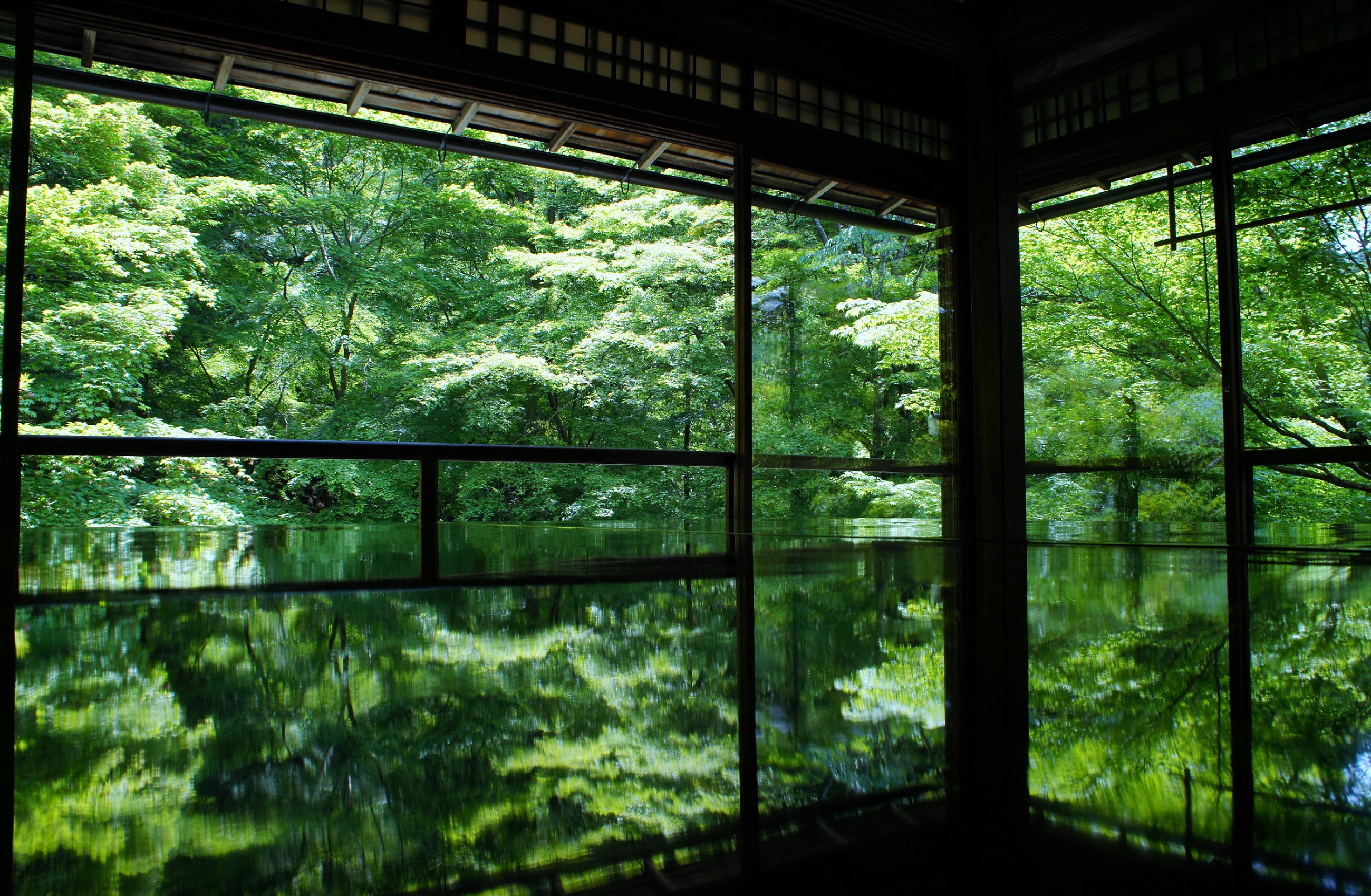 そうだ 京都、行こう