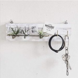 ev-20170606-airplants-02