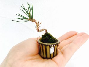 ev-20170606-bonsai-a