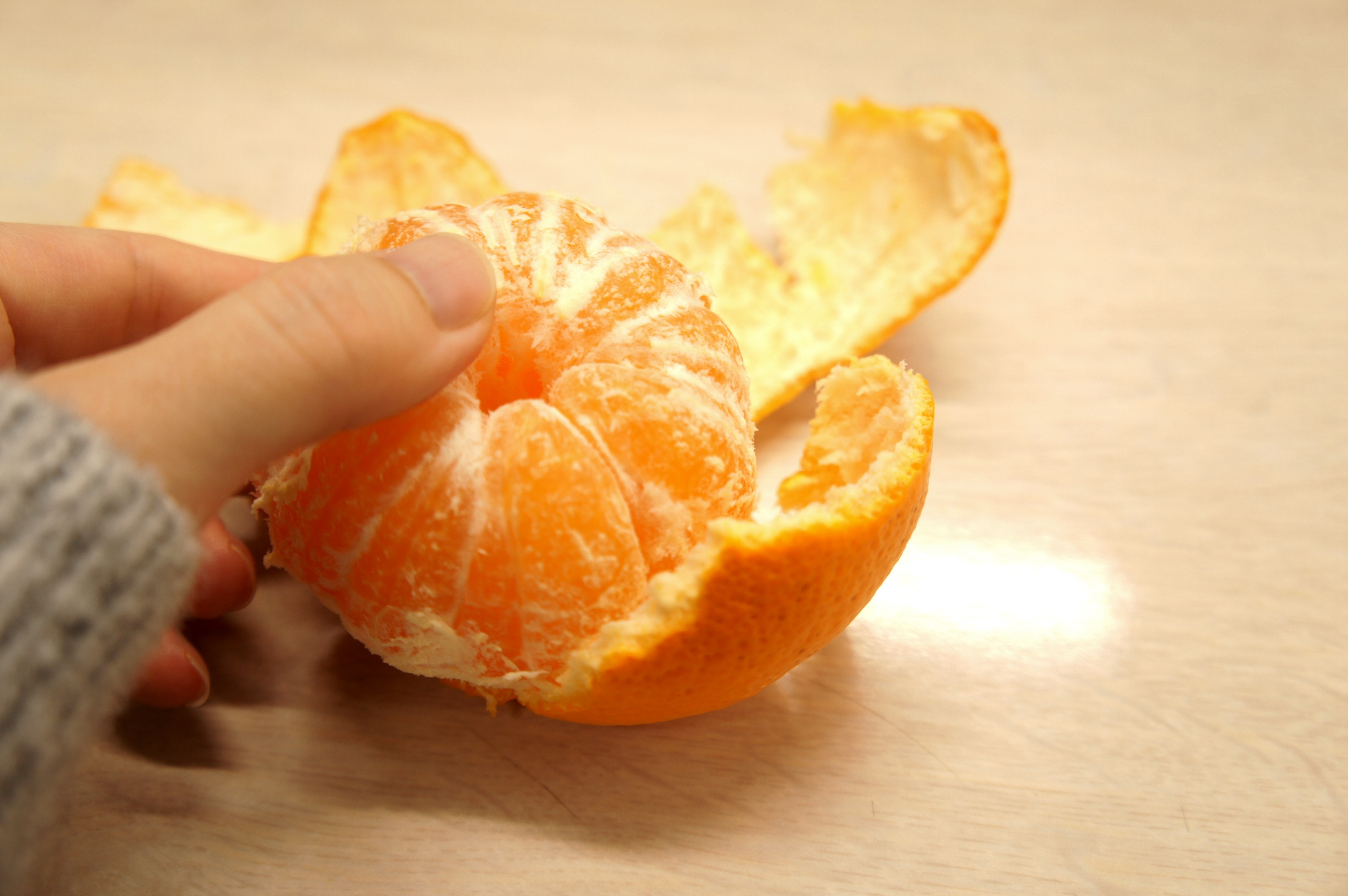 お客様からの差し入れ