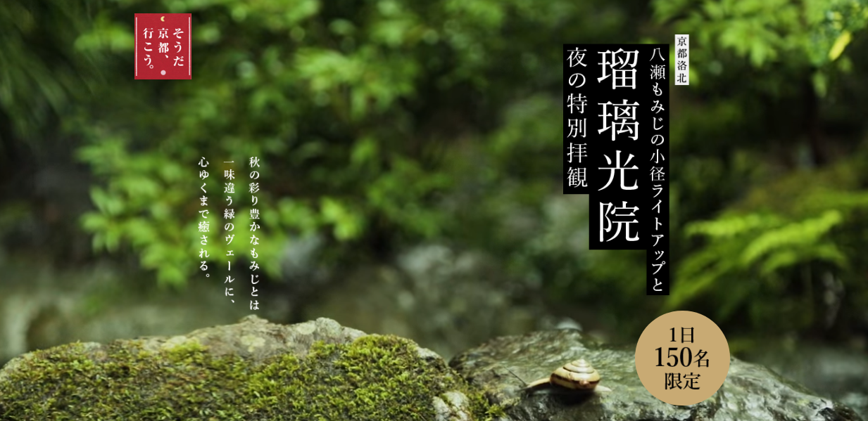 瑠璃光院夜間特別拝観