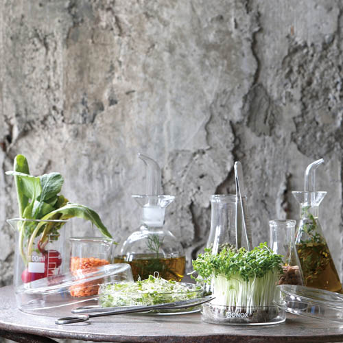 植物との相性も◎ちいさなビーカー