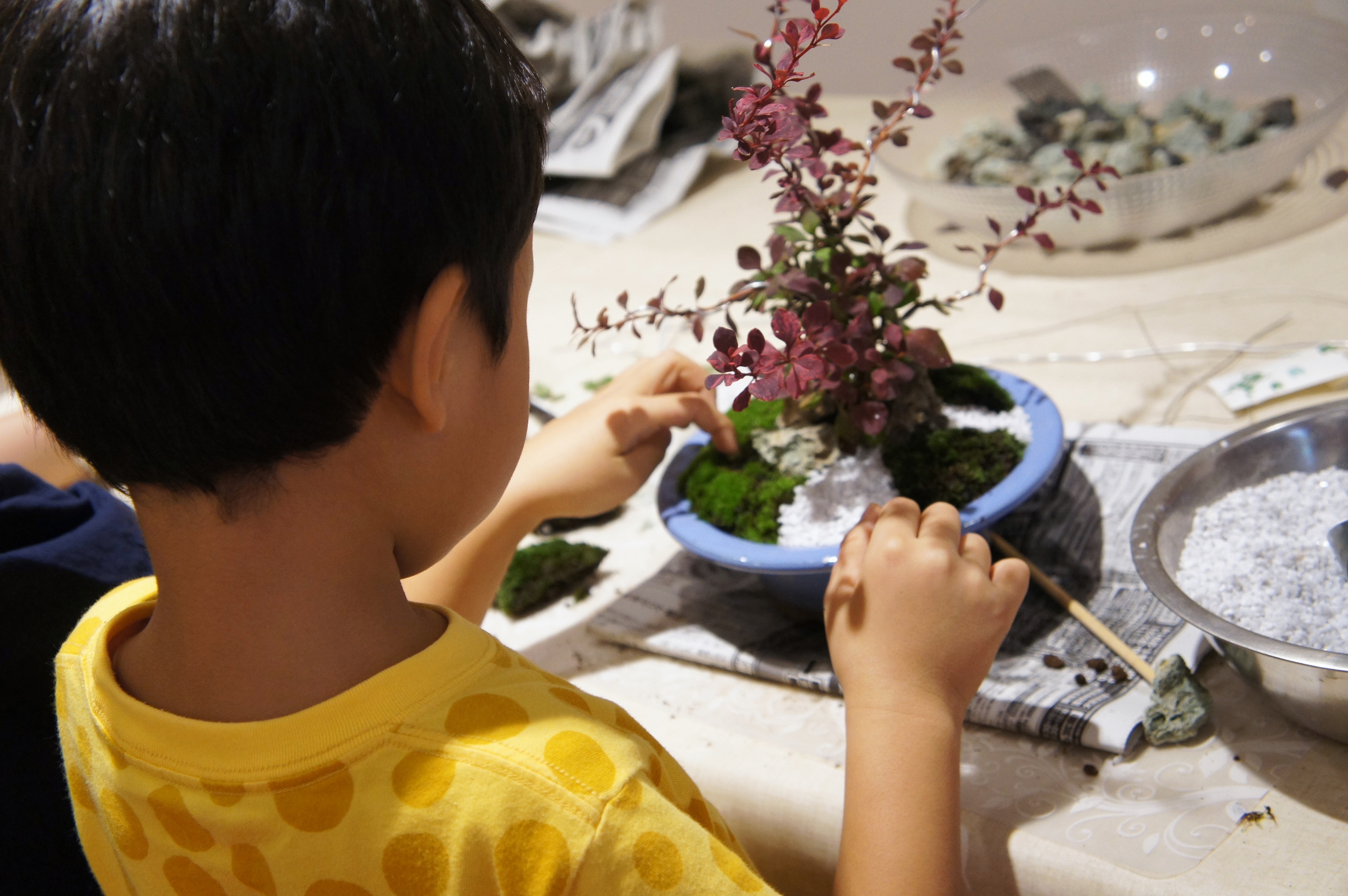 お家で愉しむインテリア盆栽-BONSAI-ワークショップ開催しました。