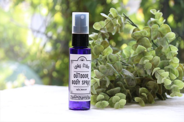 小川町オーガニックフェスは本日開催です！