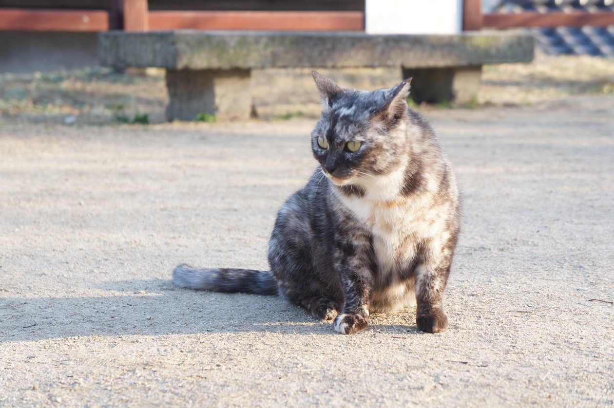 広島へショートトリップ